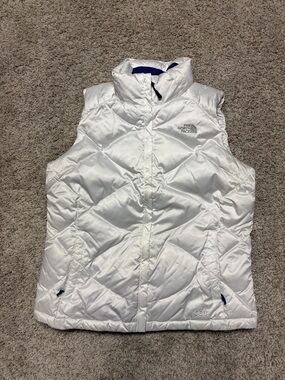 The North Face Blue Puffer Jacket - Men's Insulated Coat